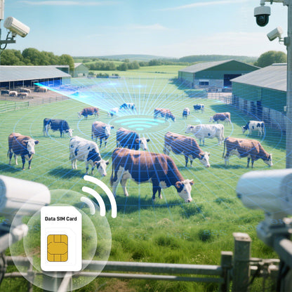 IoT Data SIM for Livestock Monitoring